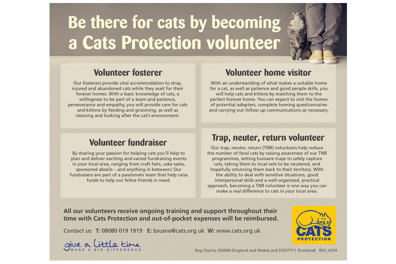 Cats Protection