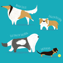 Dogs