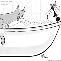 Bath Cat