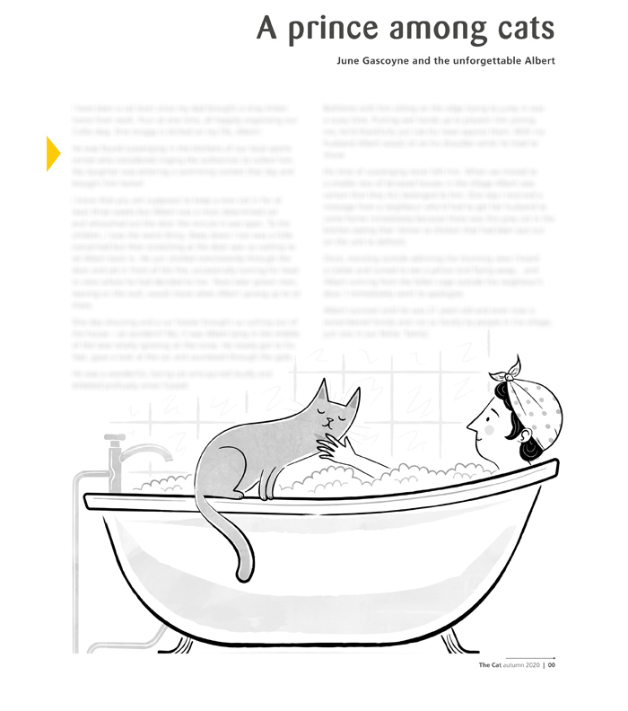 Cat Bath