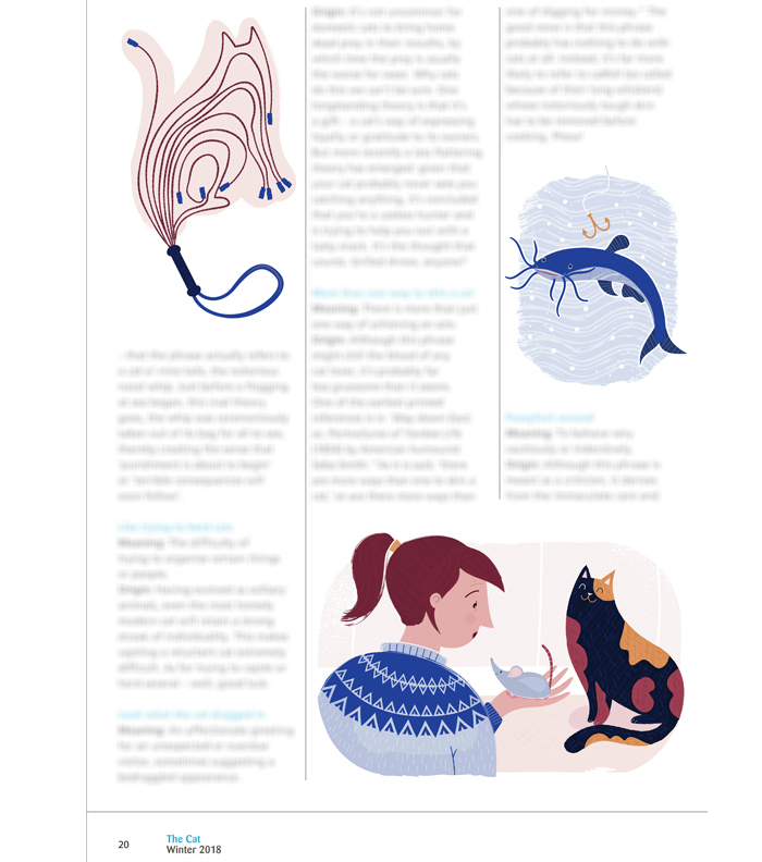 Catty remarks